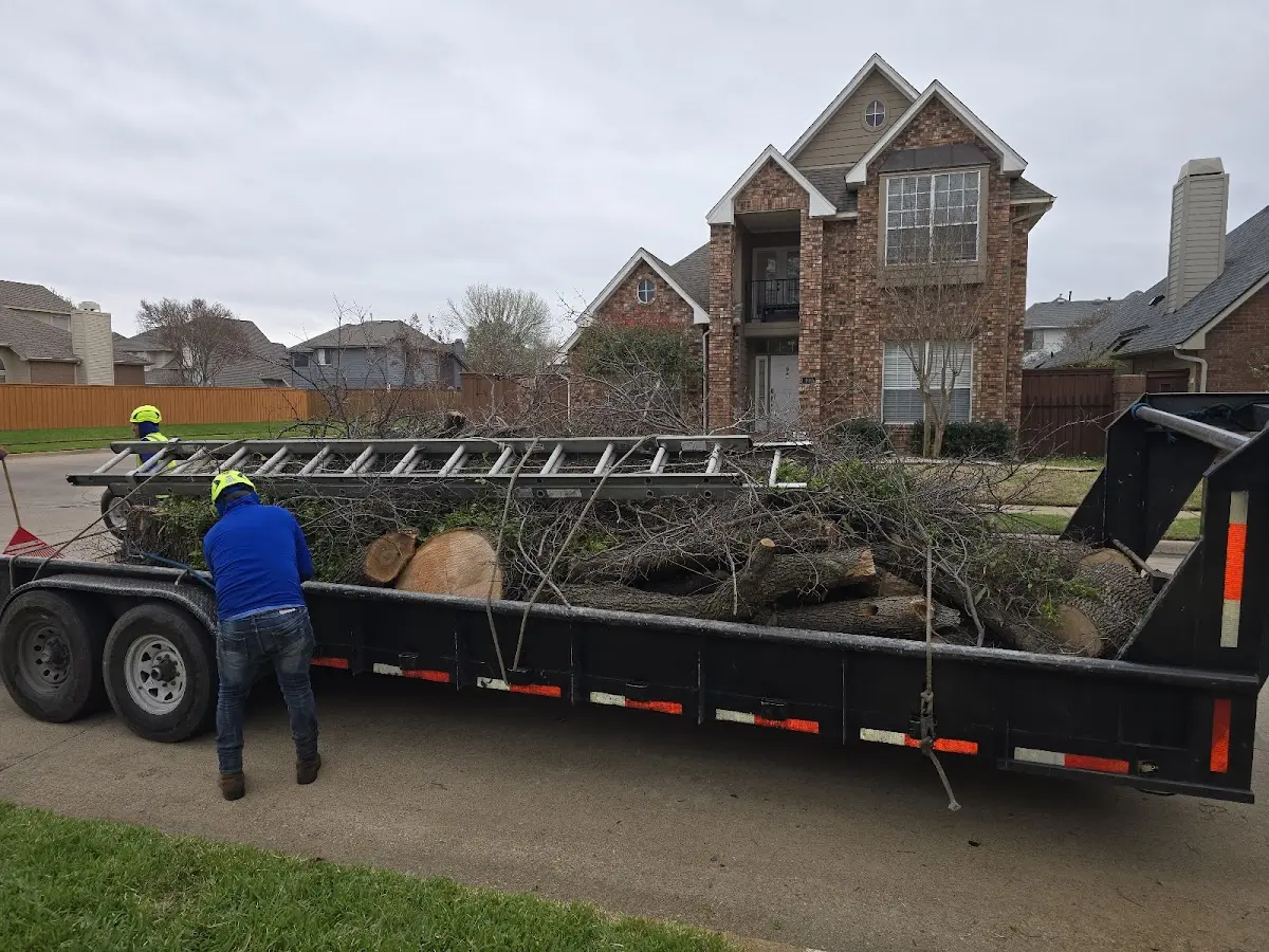 Expert Tree Fertilization with proper safety equipment in Star City